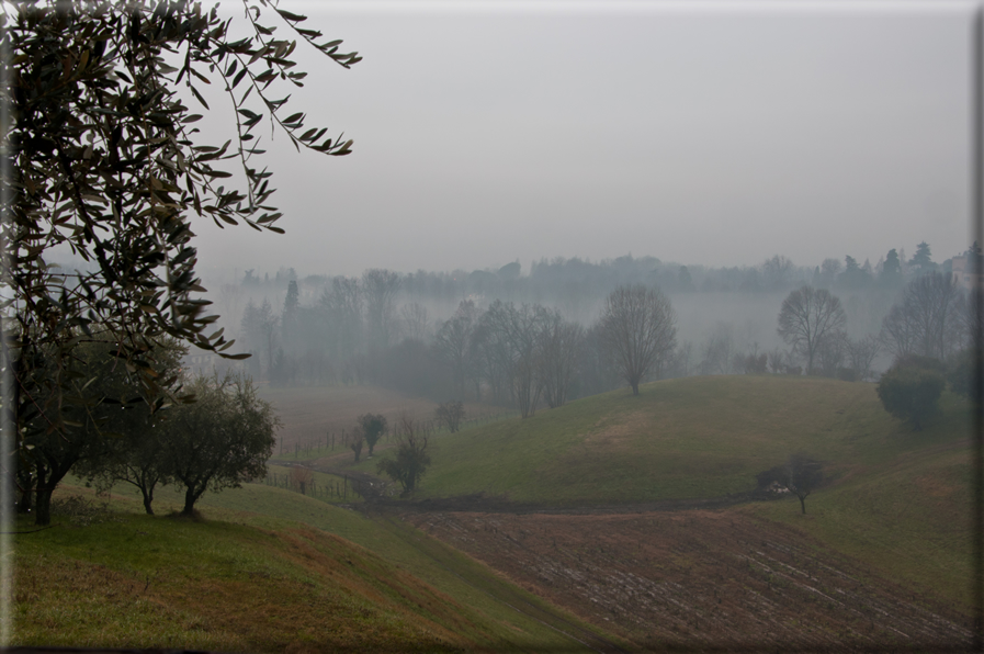 foto Colline di Romano d'Ezzelino nella Nebbia